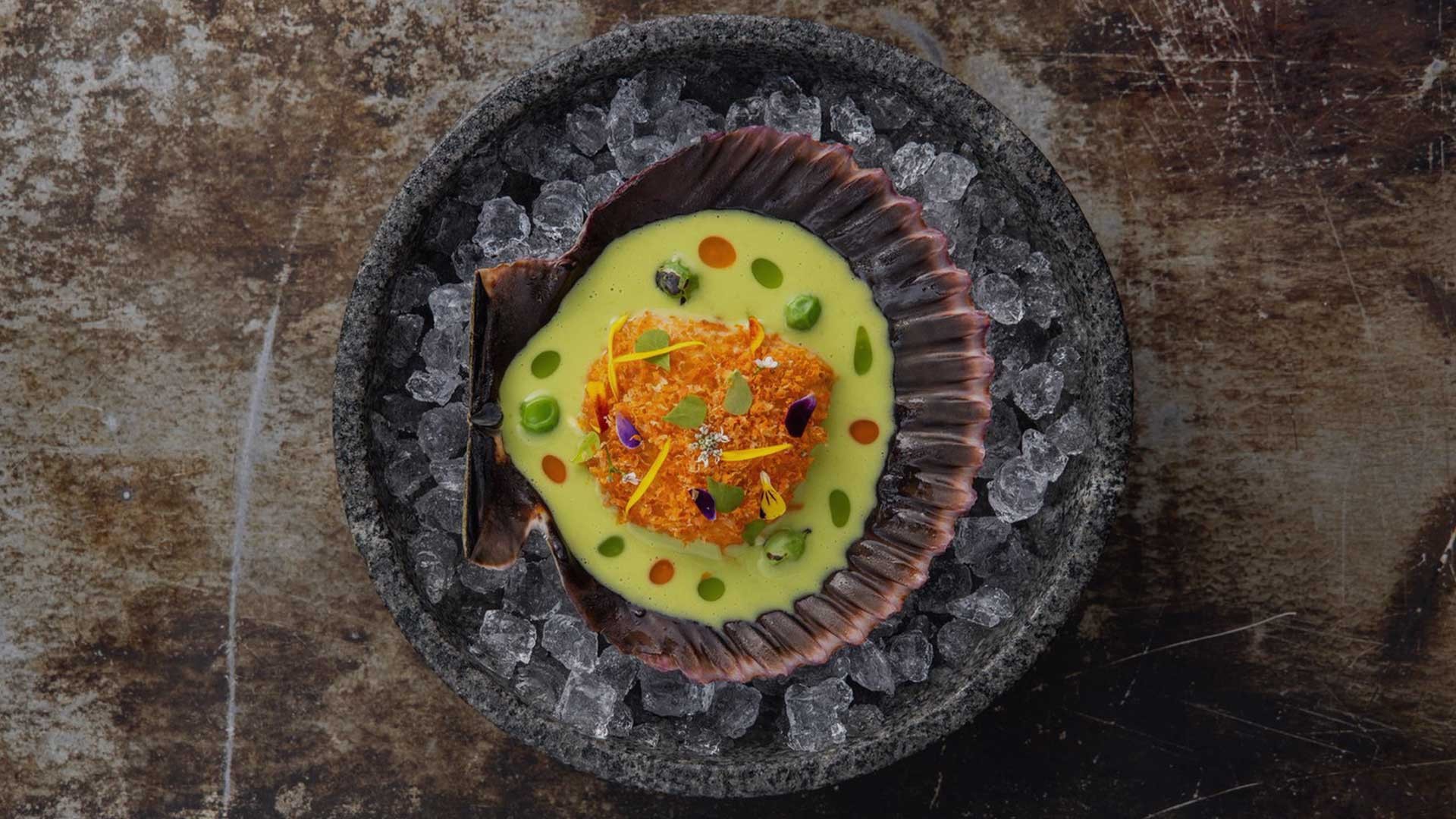 Paiche Amazonian Journey