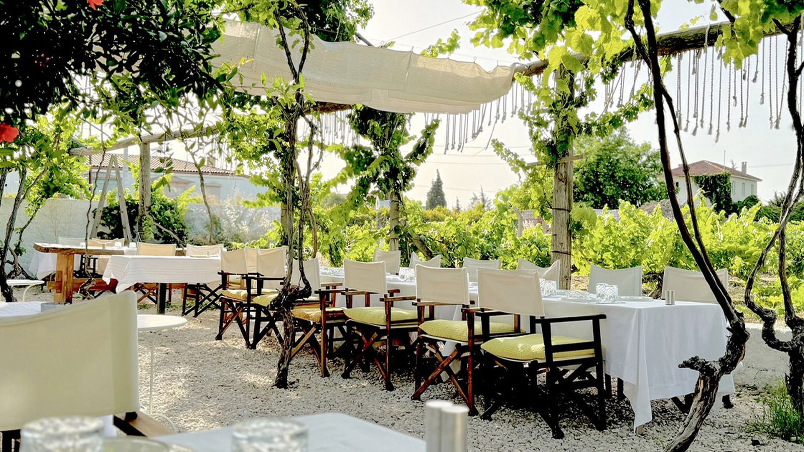 Roots & Layers Tasting