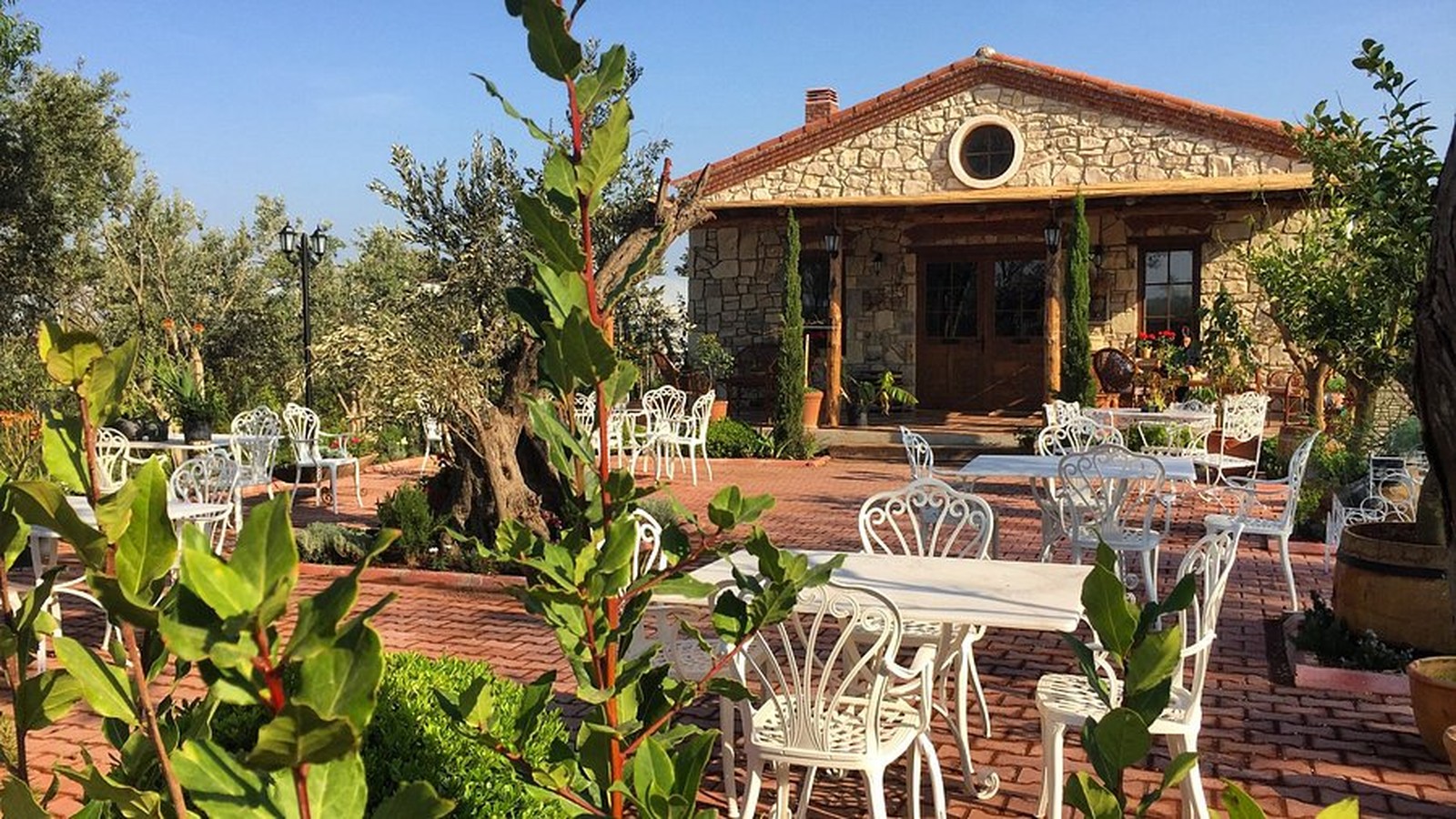 Aegean Seasonal Tasting